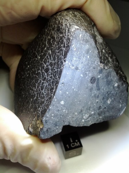 Ученые: Метеорит «Черная красавица» подтвердил пригодность Марса для жизни
