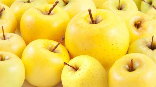 Яблочная кожура способна побороть рак - Ученые