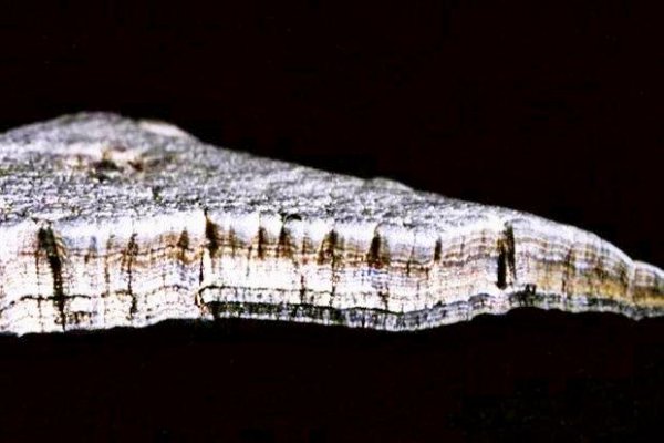 Учёные обнаружили металл внеземной структуры
