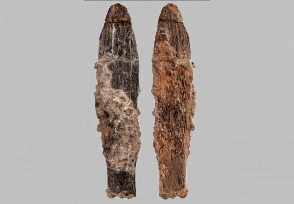 В Марокко найдено древнейшее костяное орудие атерийской культуры