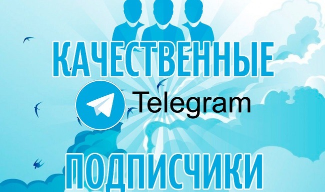 Купить недорого подписчиков в Телеграмм